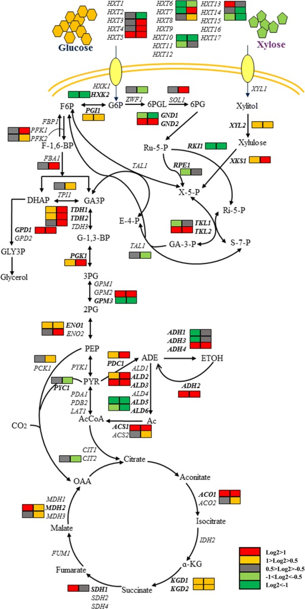 Fig. 4