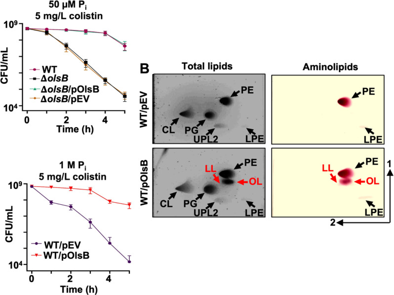 Figure 4: