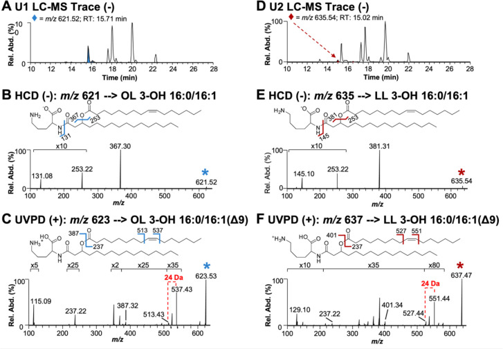 Figure 2: