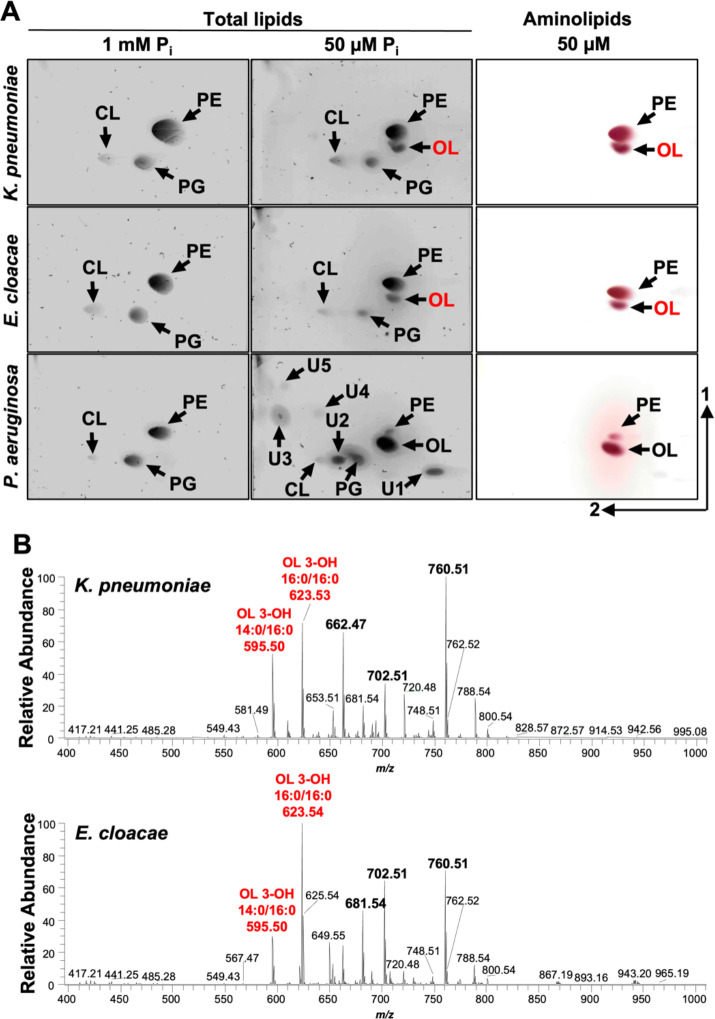 Figure 6: