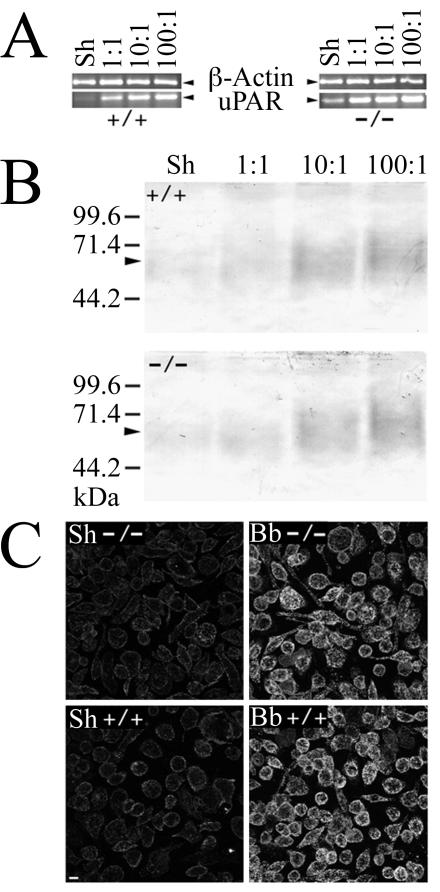 FIG. 6.