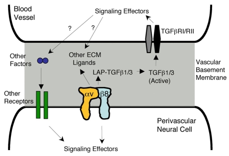 Fig. 9.