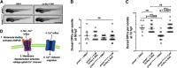 Figure 9.