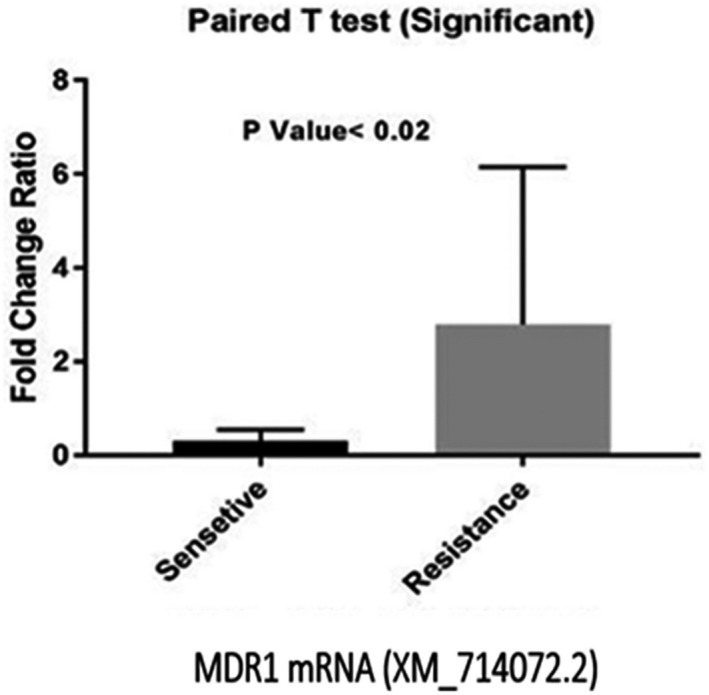 FIGURE 1