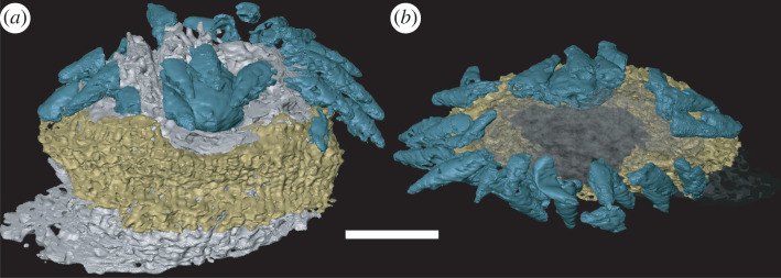 Figure 5. 