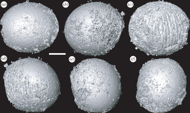 Figure 2. 