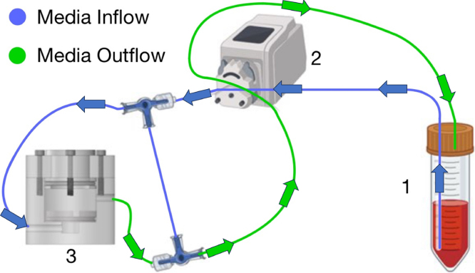 Fig. 3