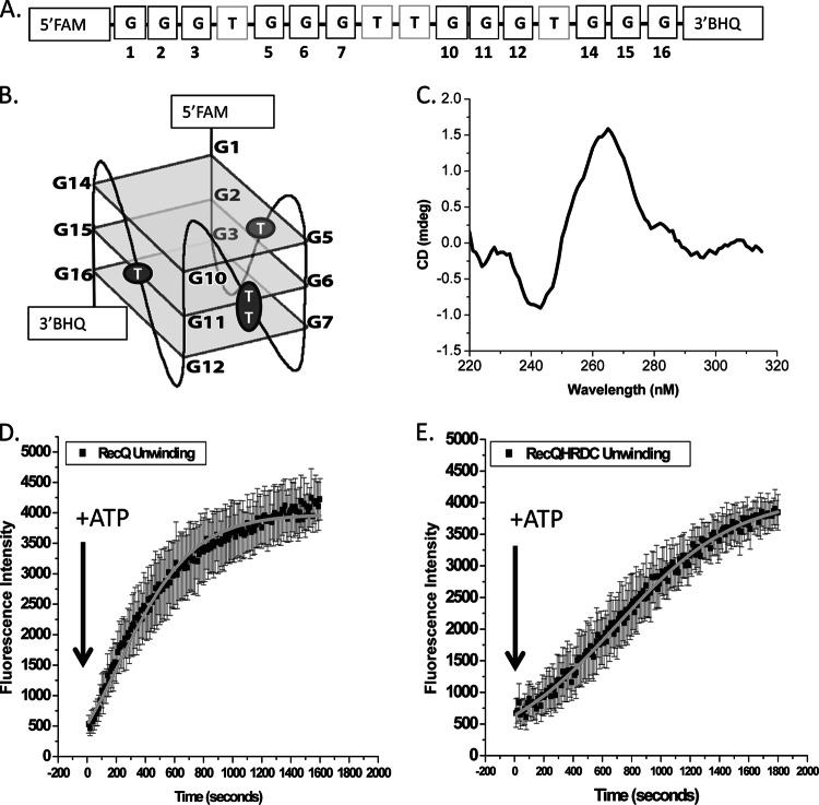 Fig 4