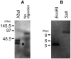 <sc>Fig</sc>. 2.—
