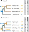 <sc>Fig</sc>. 4.—