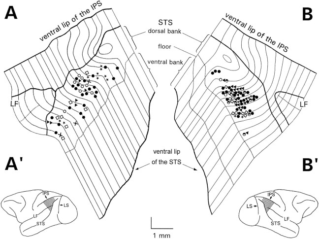 Fig. 18.