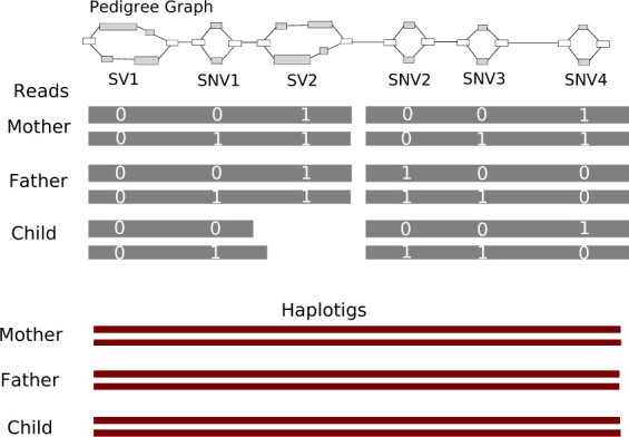 Fig. 2.