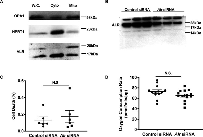 Figure 1—figure supplement 1.