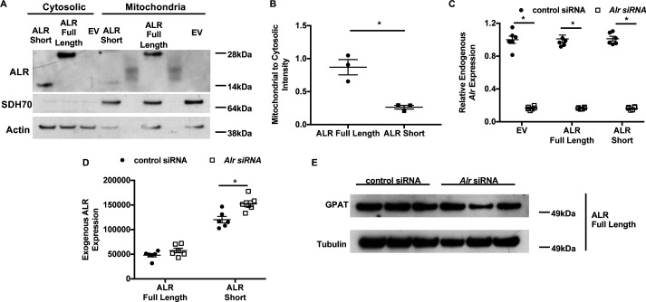 Figure 3—figure supplement 1.