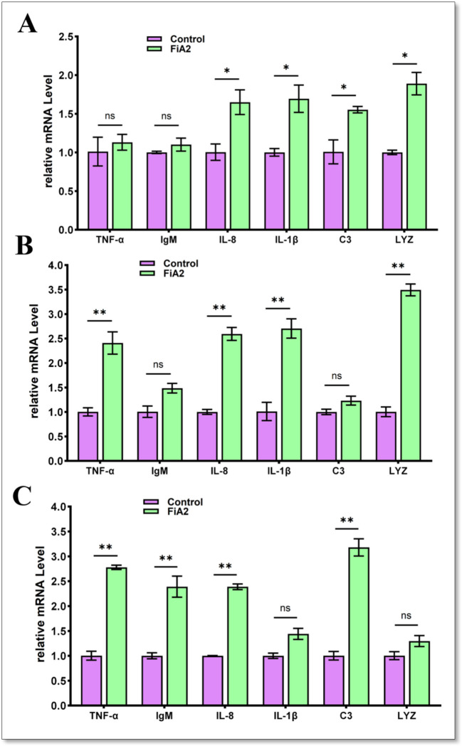 Fig. 7