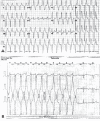 Figure 4)