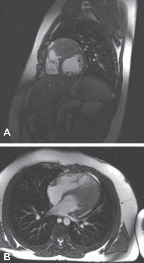 Figure 1)