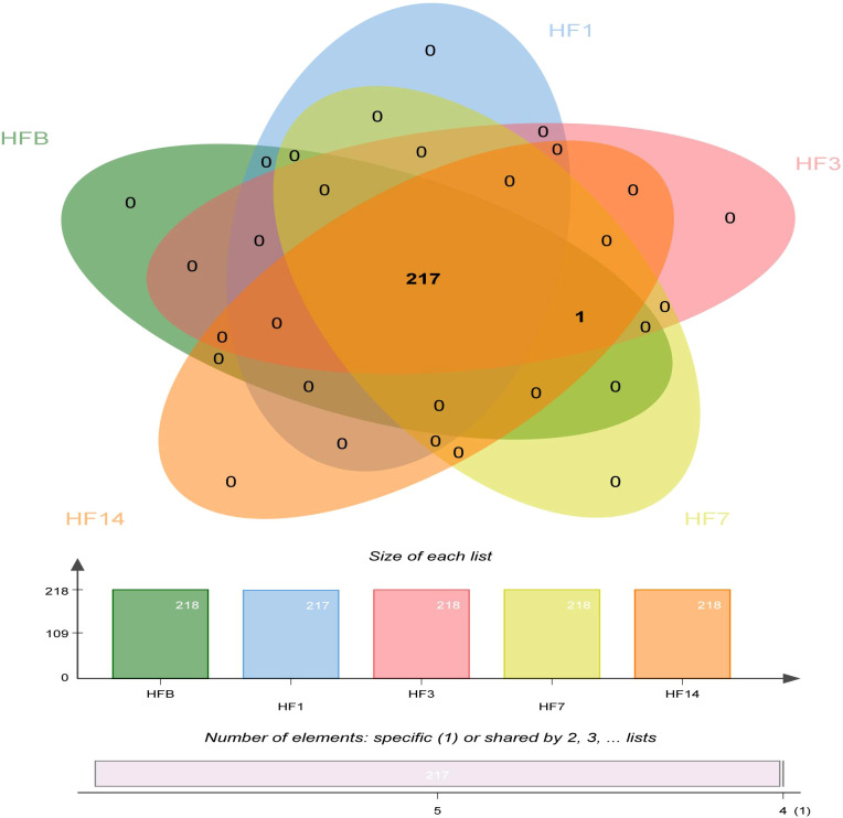 Figure 6