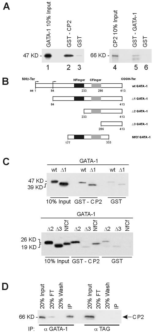 FIG. 7.