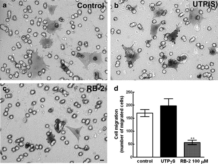 Fig. 12