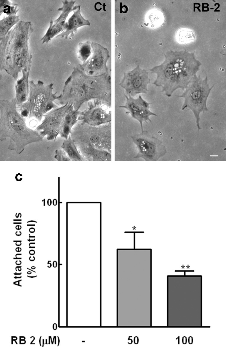 Fig. 11