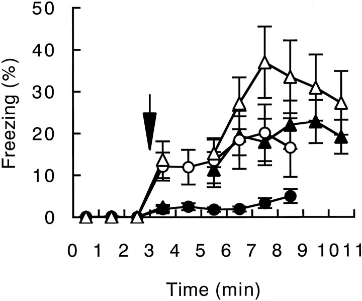 Fig. 10.