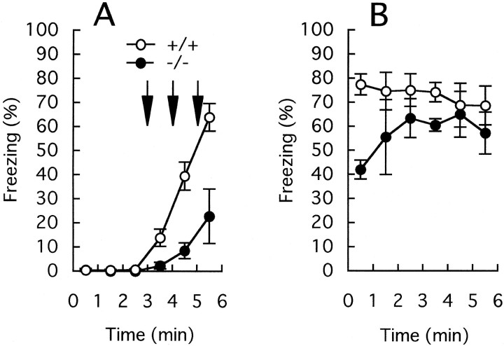 Fig. 9.