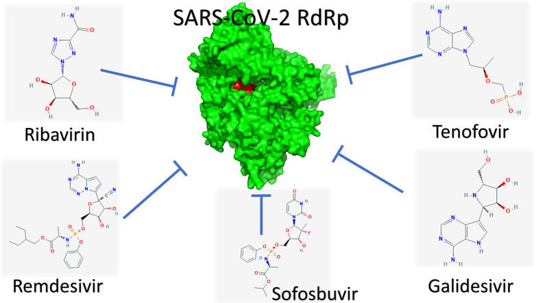 Unlabelled Image