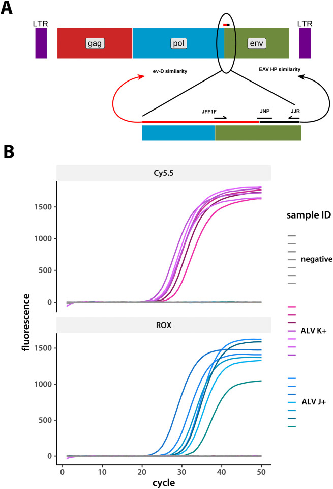 Fig 1