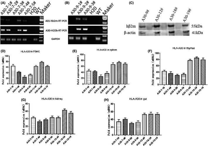 FIGURE 2