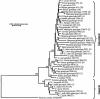 FIG. 2.