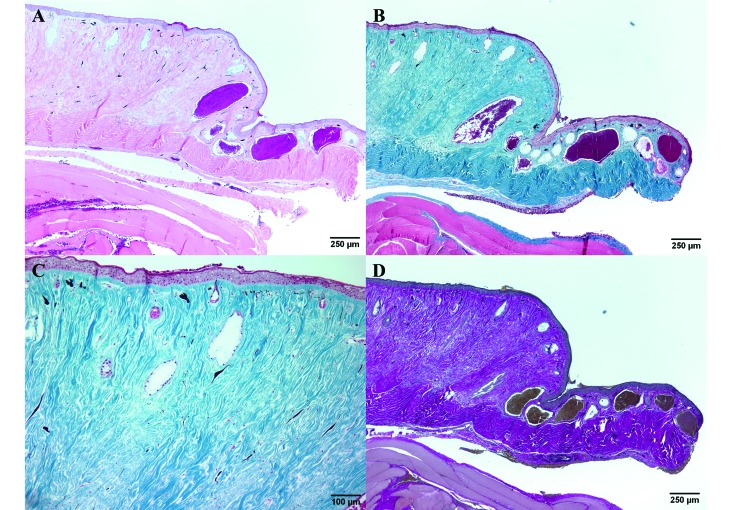 Figure 4.