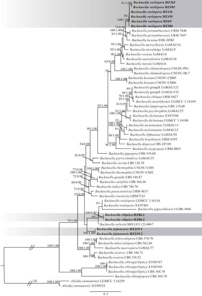 Figure 1.