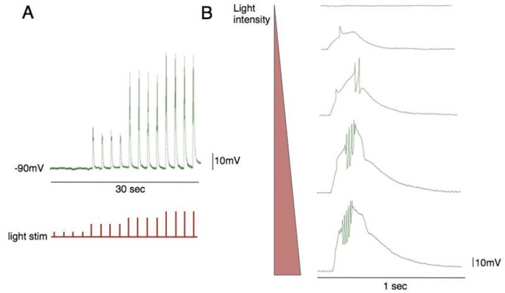 Figure 4.