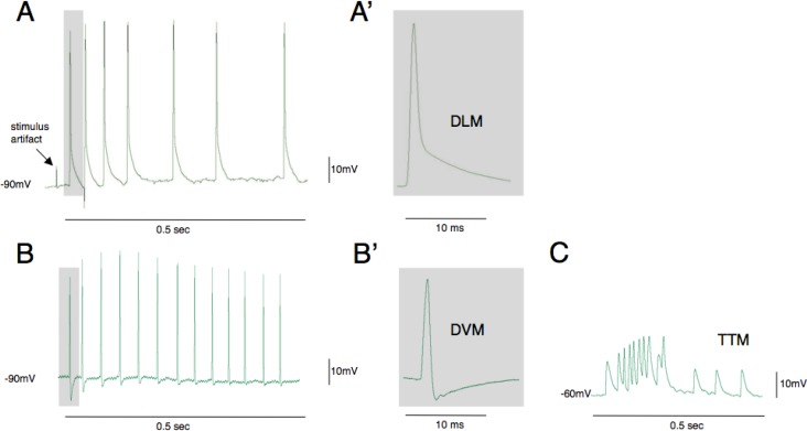 Figure 3.