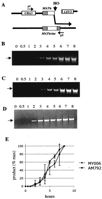 FIG. 4.