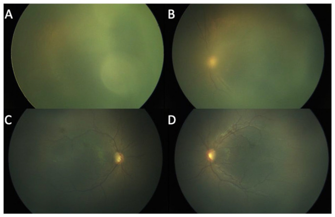 Figure 3.