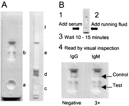 FIG. 1.