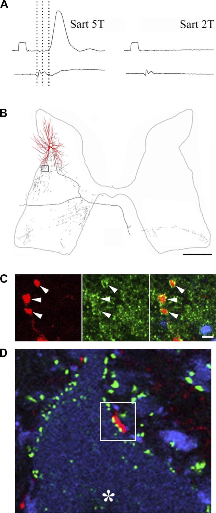 Fig. 4.