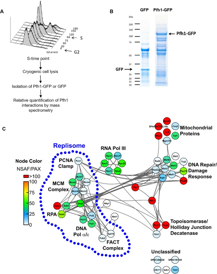 Fig 6