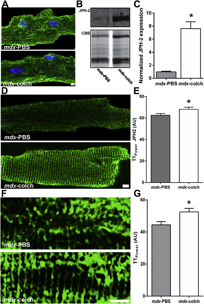 Figure 3