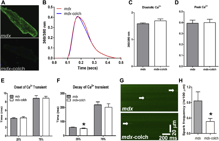 Figure 4