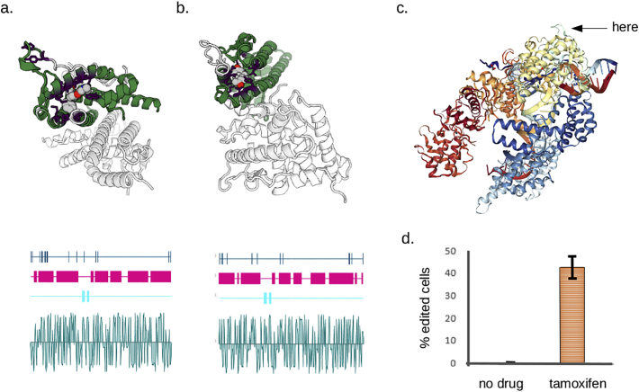 Fig. 4