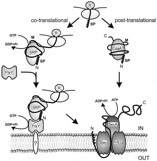 FIG. 6