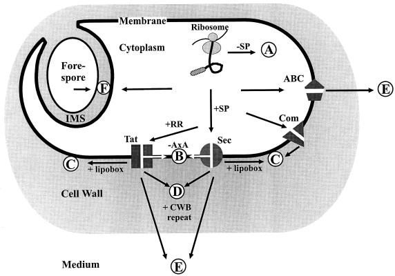 FIG. 4