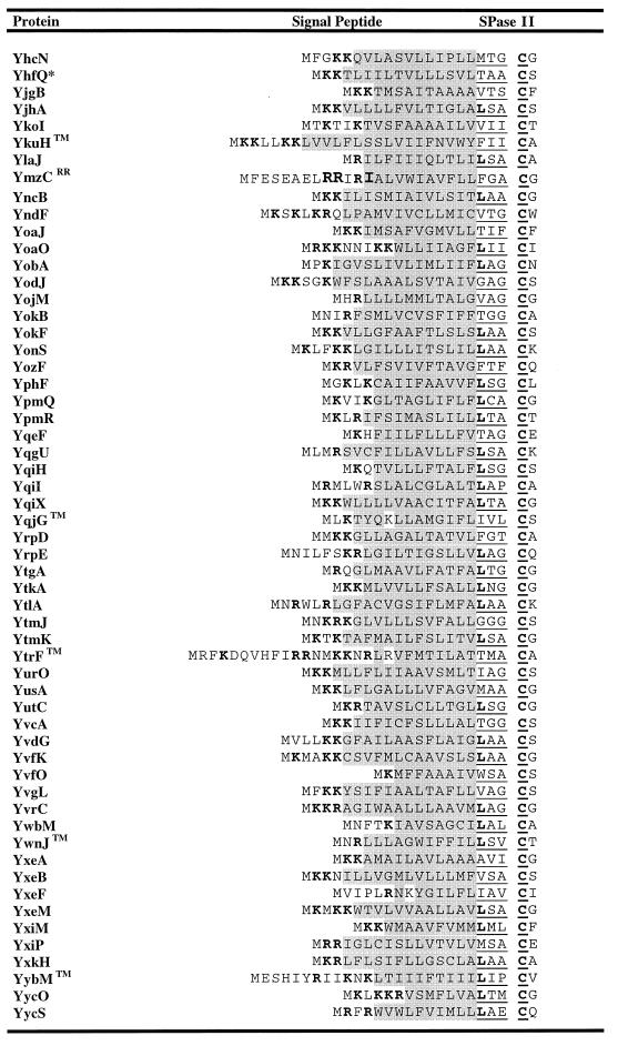 graphic file with name mr0300024t4b.jpg