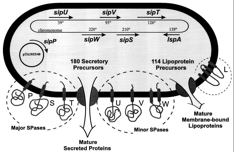 FIG. 7