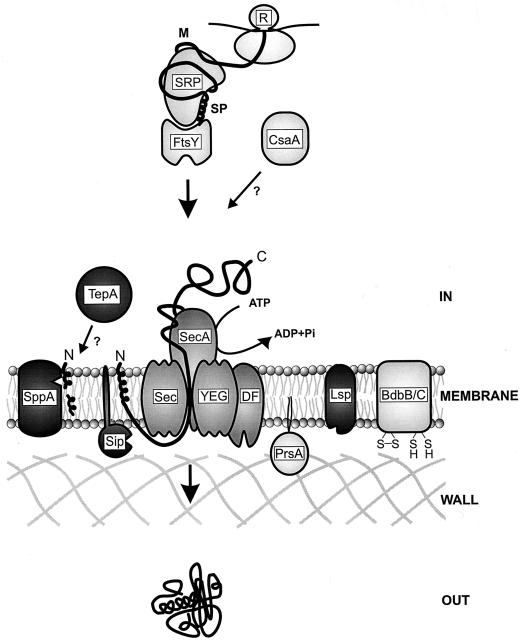 FIG. 5