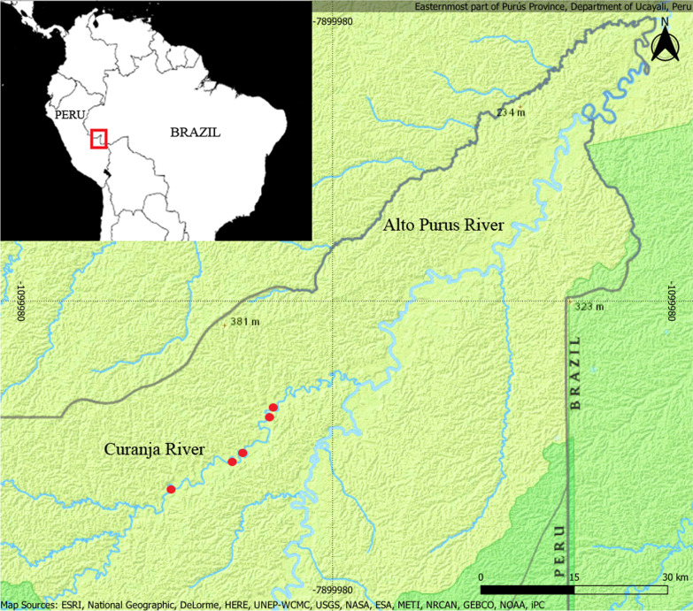 Fig. 1