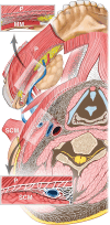 Fig. 12.